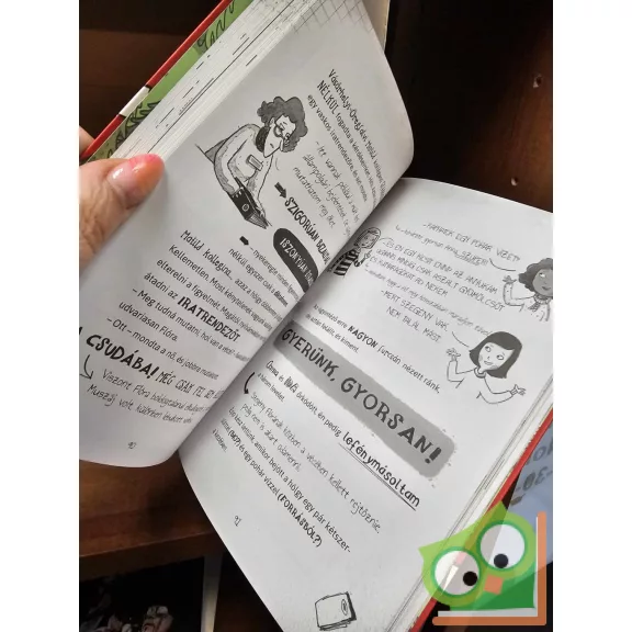 Ulrike Rylance: A karácsonyfarablás (Bors Bori 4.)