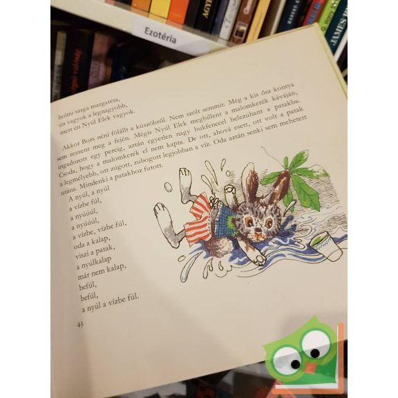 Nemes Nagy Ágnes: Bors néni könyve