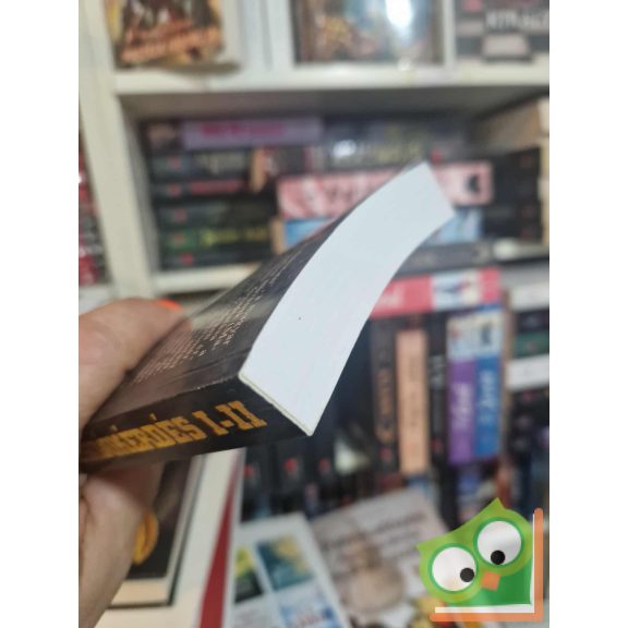 Bosnyák Zoltán: Zsidókérdés (nagyon ritka)