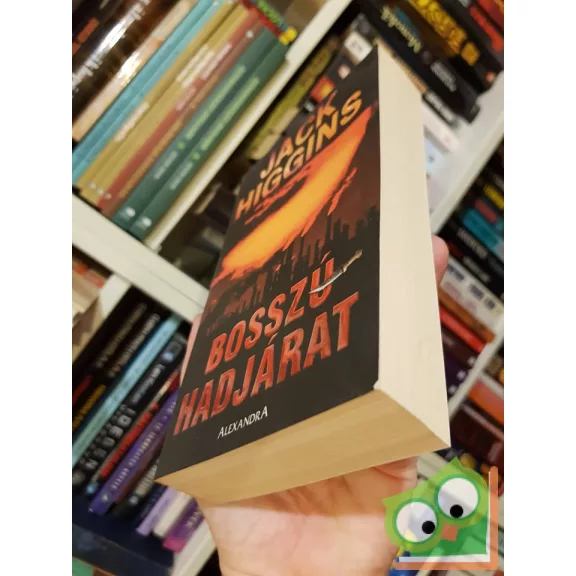 Jack Higgins: Bosszúhadjárat (Sean Dillon 9.)