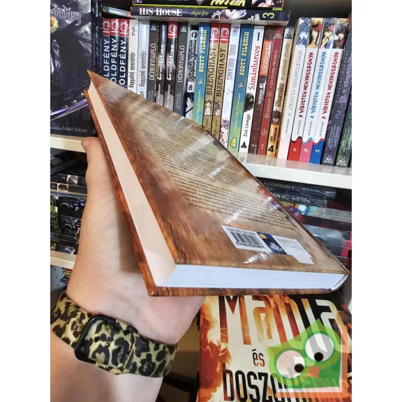 Edain McCoy: Boszorkányság mesterfokon