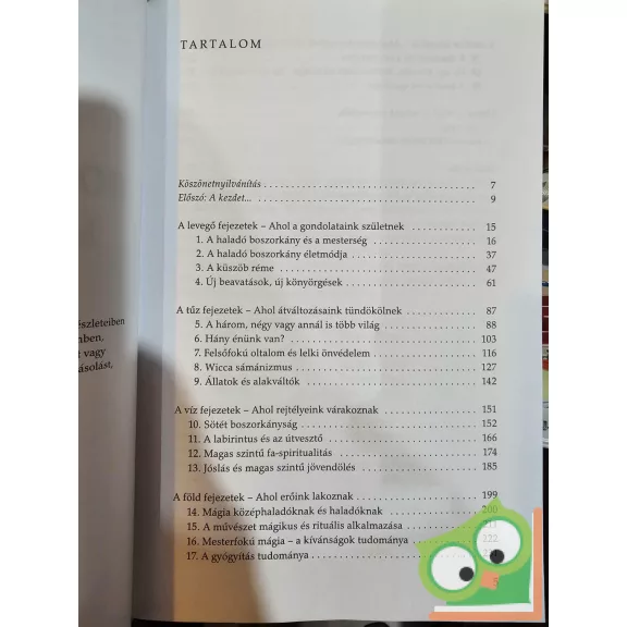 Edain McCoy: Boszorkányság mesterfokon