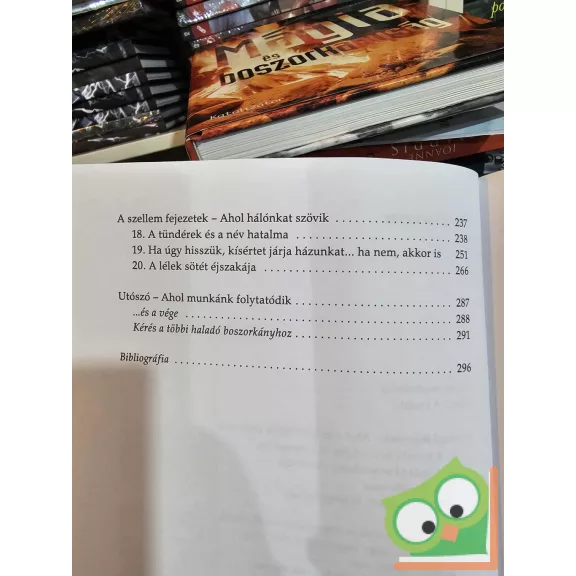 Edain McCoy: Boszorkányság mesterfokon