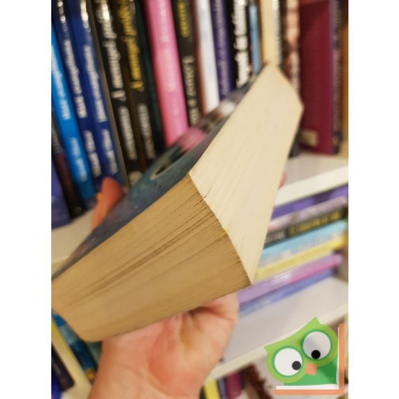 Robert Ludlum, Eric Van Lustbader: Bourne öröksége (Fantom/Bourne 4.)