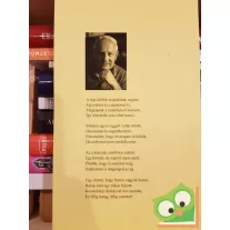 Bradányi Iván: Régi költők megtalálnak engem (versek)