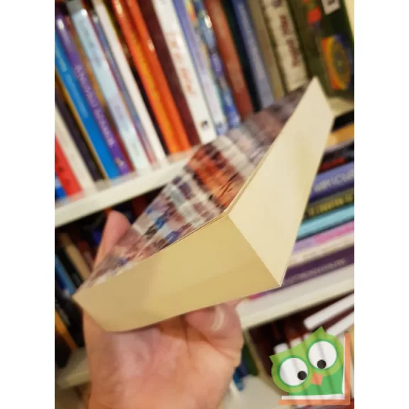 Brandon Sanderson: Ködszerzet VI. kötet - A Korok Hőse
