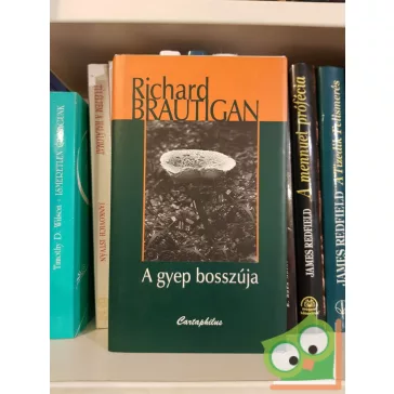 Richard Brautigan: A gyep bosszúja (Ritka)