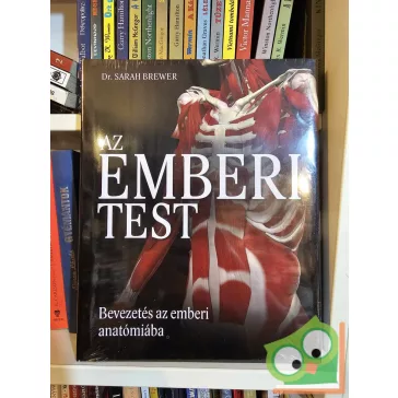   Sarah Brewer: Az ​emberi test (Bevezetés az emberi anatómiába) (fóliás)