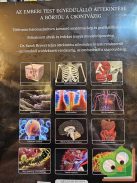 Sarah Brewer: Az ​emberi test (Bevezetés az emberi anatómiába) (fóliás)