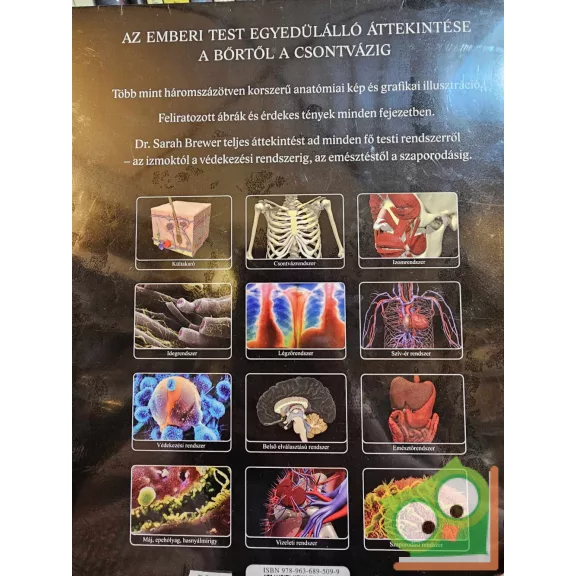 Sarah Brewer: Az ​emberi test (Bevezetés az emberi anatómiába) (fóliás)