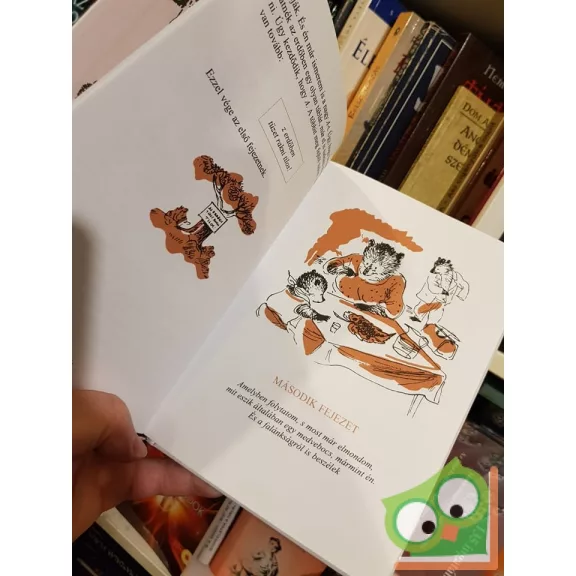 Bodó Béla: Brumi Mackóvárosban