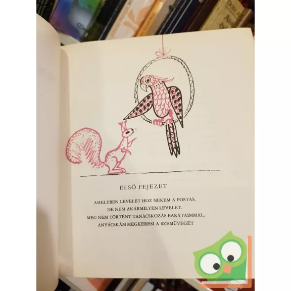 Bodó Béla: Brumi mint detektív