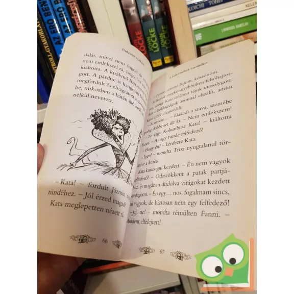 Rosie Banks: Buborékvulkán (Titkos királyság 7.)