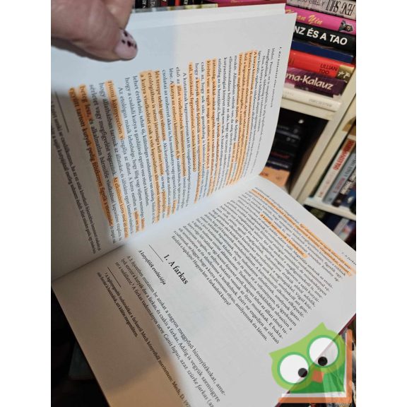 Csányi Vilmos: Bukfenc ​és Jeromos