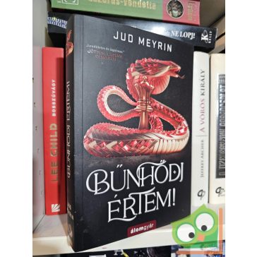 Jud Meyrin: Bűnhődj értem!
