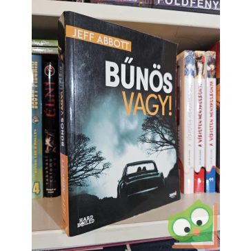 Jeff Abbott: Bűnös vagy!