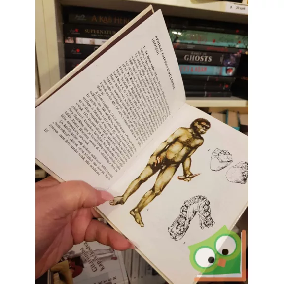 Kordos László: Emberelődök (Búvár zsebkönyv)