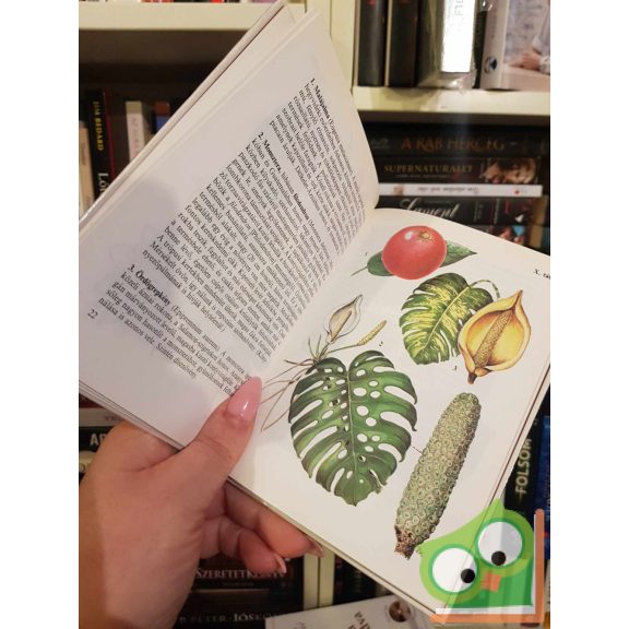 Járainé Komlódi Magda: Kultúrnövények 3. (Búvár zsebkönyv)