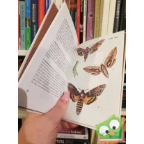Kalmár Zoltán: Lepkék (Búvár zsebkönyv)