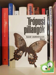 Mészáros Zoltán: Trópusi pillangók (Búvár zsebkönyv)
