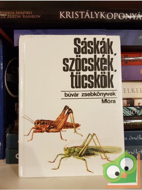 Bakonyi Gábor: Sáskák, szöcskék, tücskök(Búvár zsebkönyvek)