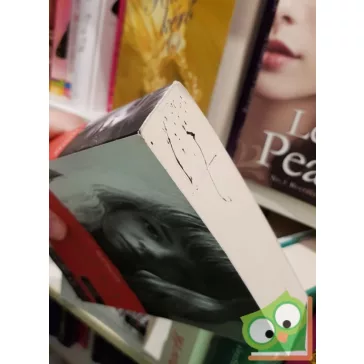 Susannah Cahalan: Lángoló agy