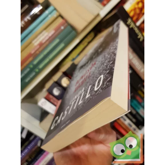 Linda Castillo: Bűnösök ​között (Kate Burkholder 8.) (Világsikerek sorozat)