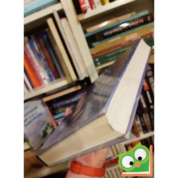 John W. Hill: Chemistry for Changing times 4. (Ritka)