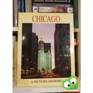 Bill Harris: Chicago - A Picture Memory