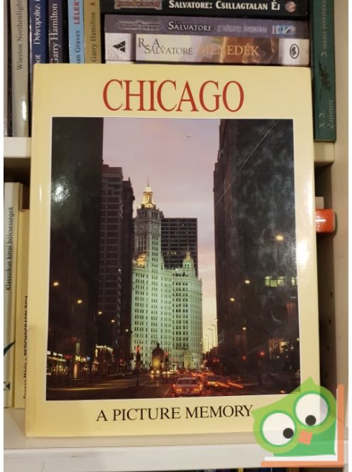 Bill Harris: Chicago - A Picture Memory