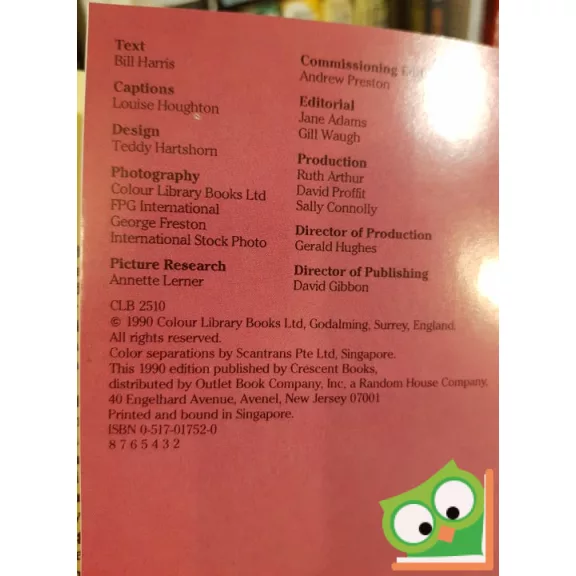 Bill Harris: Chicago - A Picture Memory