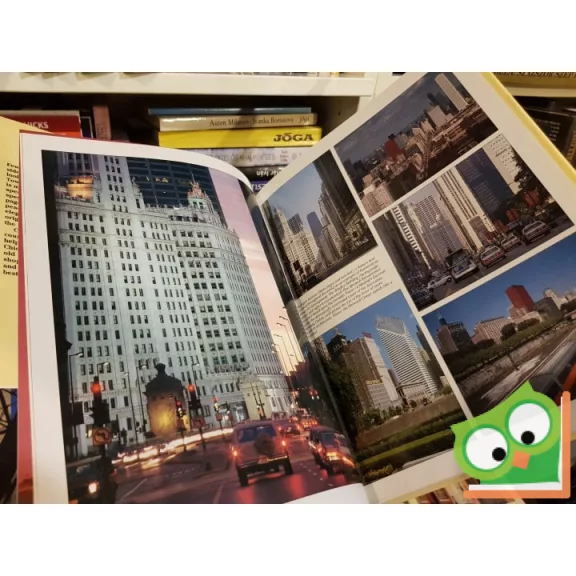 Bill Harris: Chicago - A Picture Memory