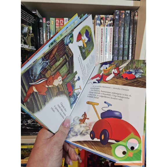 Walt Disney - Chip és Dale - Kacsalábon forgó mókuspalota (Disney könyv klub)