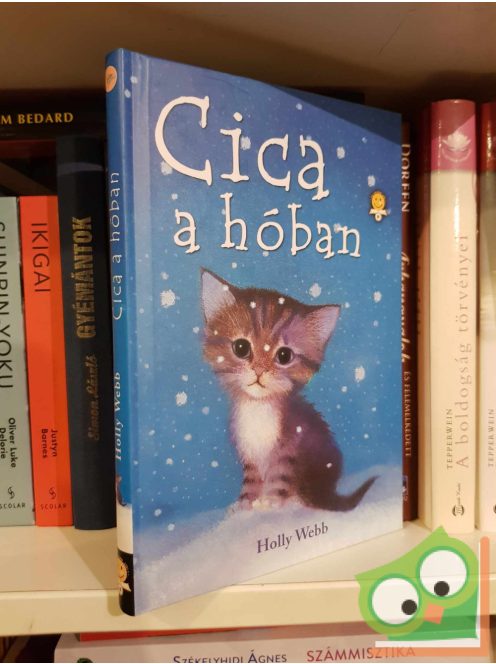 Holly Webb: Cica a hóban (Olvasni jó!)