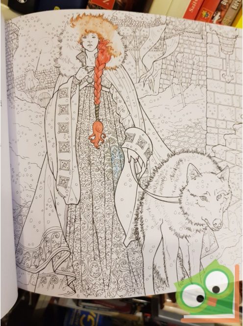 George R. R. Martin's Official A Game of Thrones Colouring Book (Ritka)