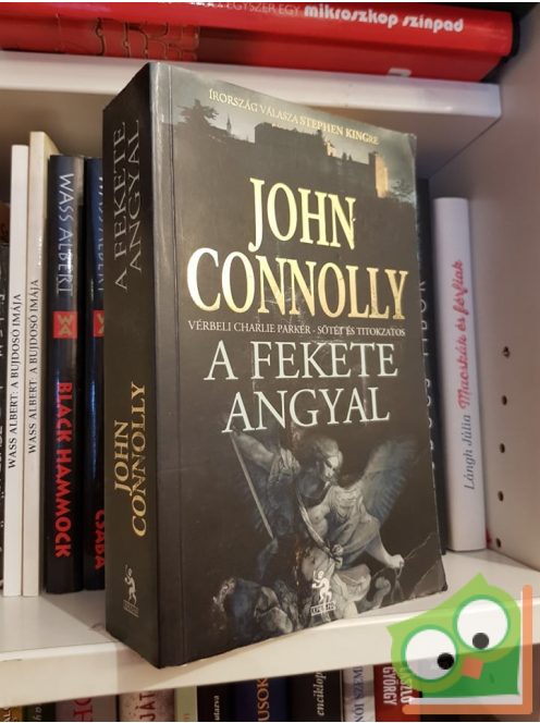 John Connolly: A fekete angyal (Charlie Parker 5.)