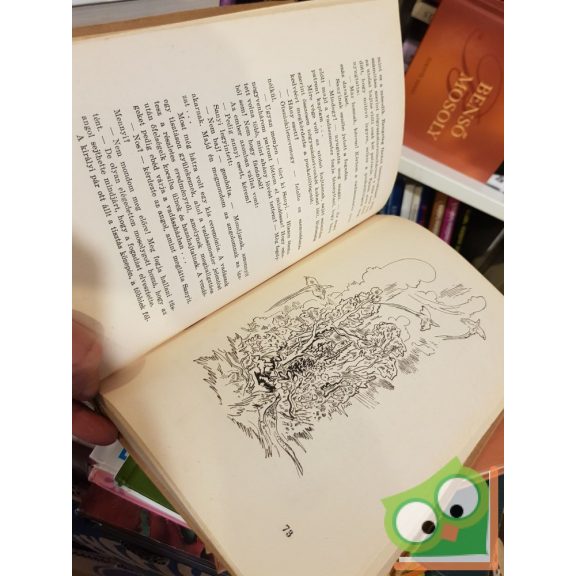 Csathó Kálmán: Vadászzsákmány