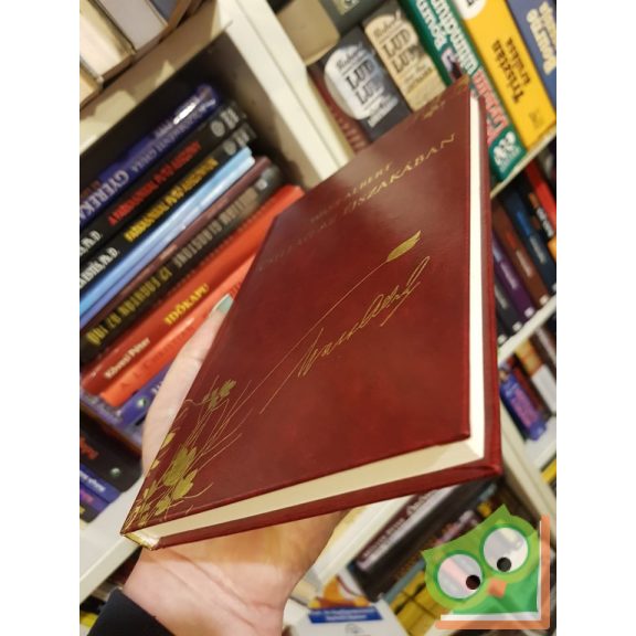 Wass Albert: Csillag az éjszakában (díszkötésben, 34. kötet)