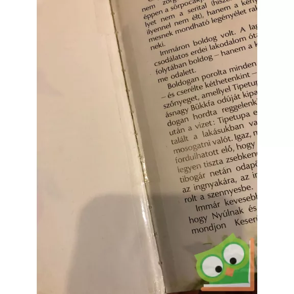 Fodor Sándor: Csipike és a gonosz ostoba  (Ritka!)