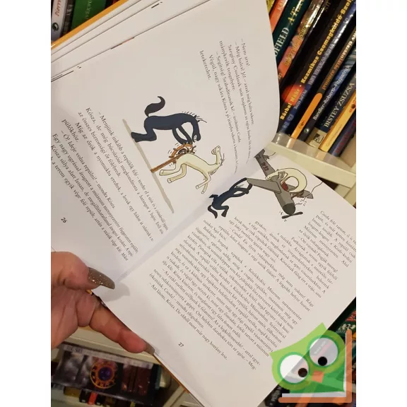 Czigány Zoltán: Csoda és Kósza  (Csoda és Kósza 1.)