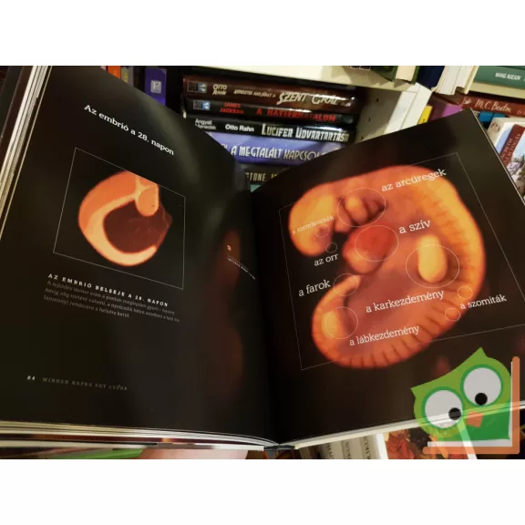 Alexander Tsiaras, Barry Werth: Csodálatos utazás a fogantatástól a születésig(Rika)