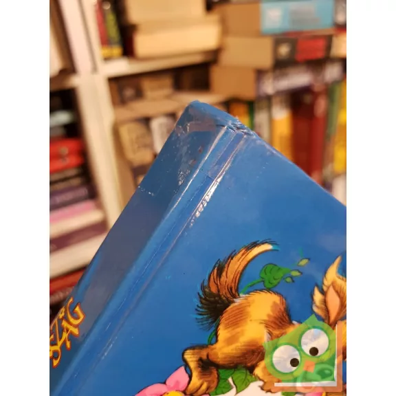 Csörgő Anikó, Füzesi Zsuzsa: Csodaország 2. (Csodaország 2.)