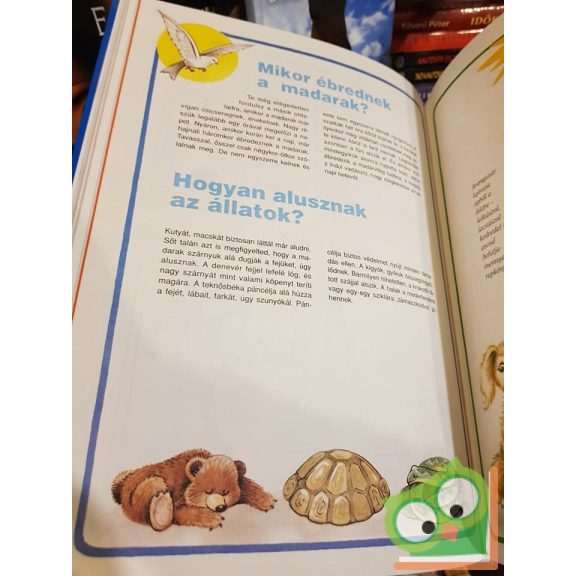 Csörgő Anikó, Füzesi Zsuzsa: Csodaország 2. (Csodaország 2.)