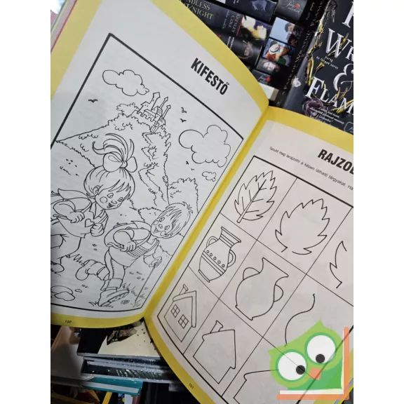 Csörgő Anikó, Füzesi Zsuzsa: Csodaország 3. (Csodaország 3.) (ritka)