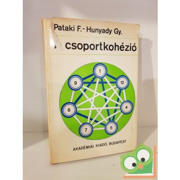 Pataki Ferenc, Hunyady György: A csoportkohézió