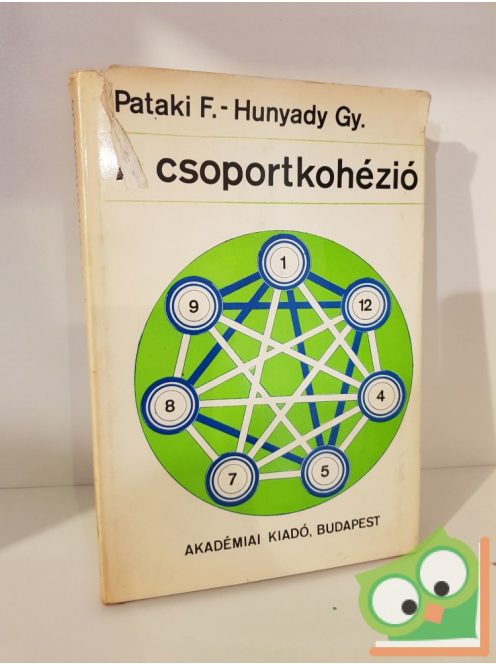 Pataki Ferenc, Hunyady György: A csoportkohézió