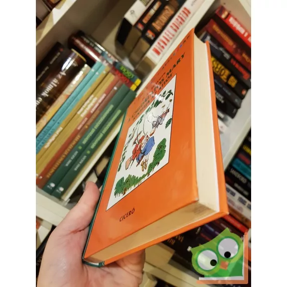 P. L. Travers: A csudálatos Mary kinyitja az ajtót (A csudálatos Mary Poppins 3.)