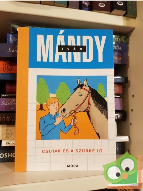 Mándy Iván: Csutak és a szürke ló (Csutak 2.)