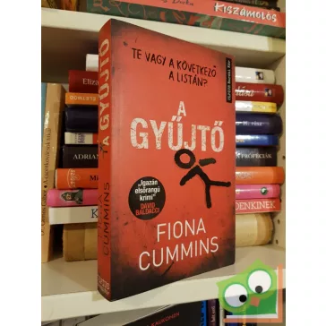 Fiona Cummins: A gyűjtő (Etta Fitzroy 2.)