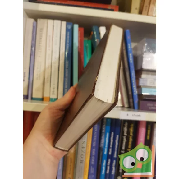 Czech-kódex 1513 - Kinizsi Pálné imádságoskönyve